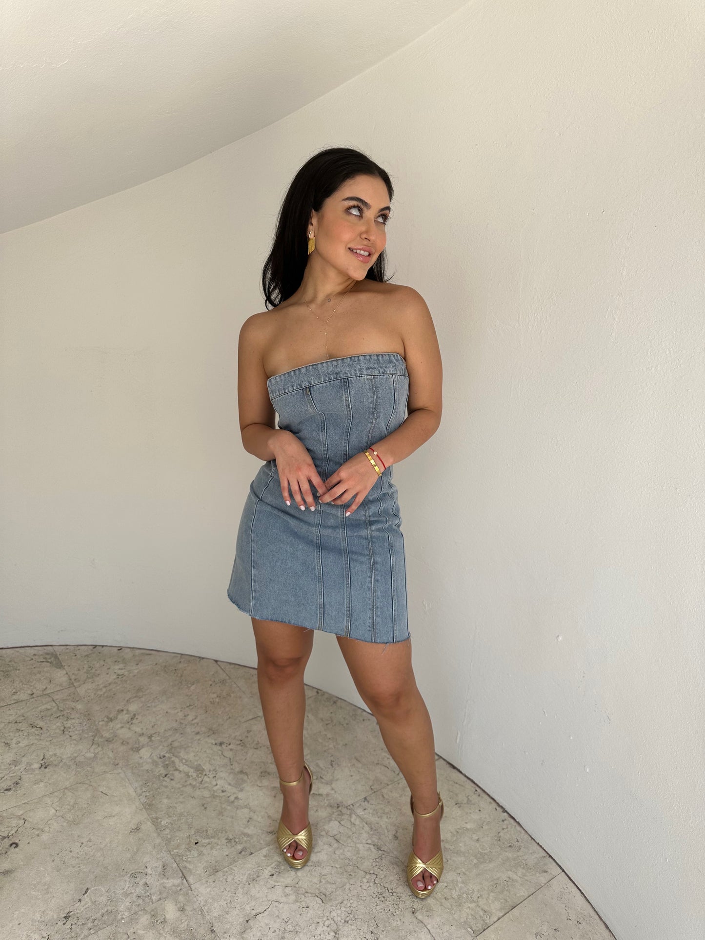 Kendall Denim Dress